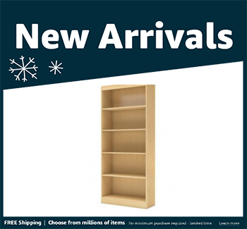 Celebritybedroomsets Axess Standard Bookcase